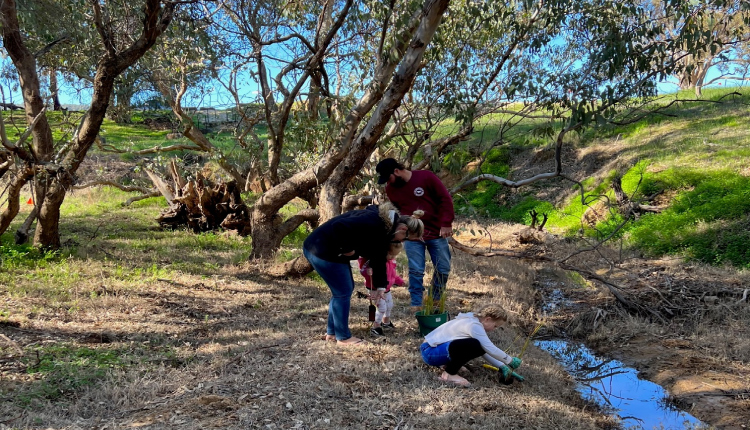 Biggest planting day yet! 